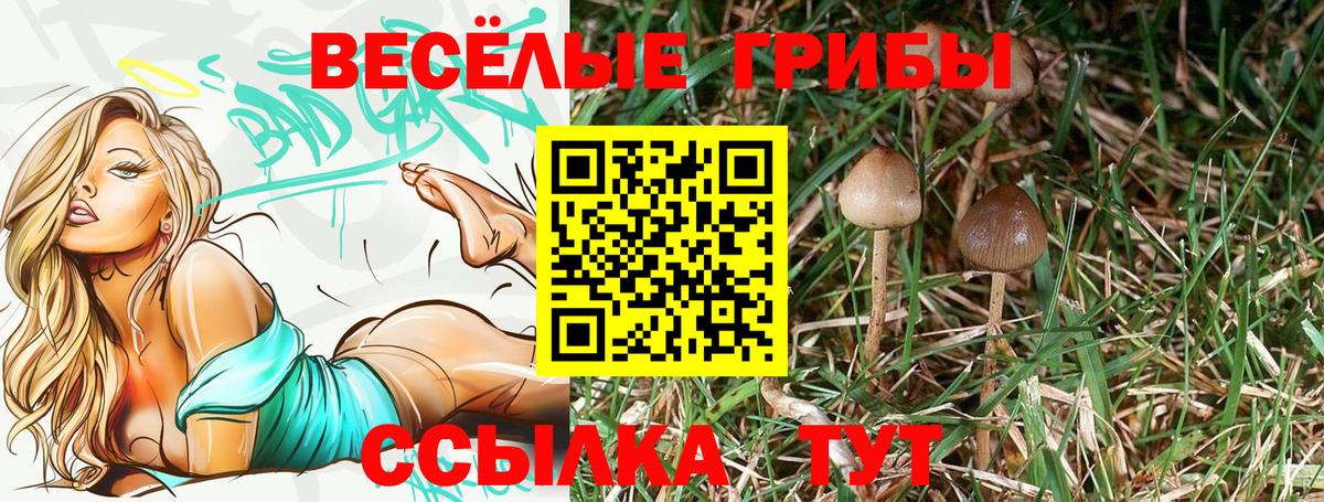 Янаул  Галлюциногенные грибы GOLDEN TEACHER  цены наркотик  Псилоцибиновые грибы прущие грибы  Вход с VPN 